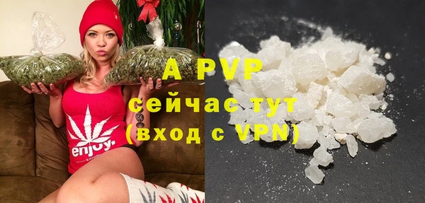 СК Балахна