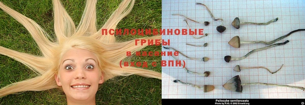 СК Балахна