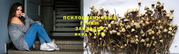 a pvp Баксан
