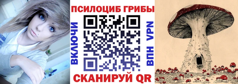 Галлюциногенные грибы прущие грибы Мышкин