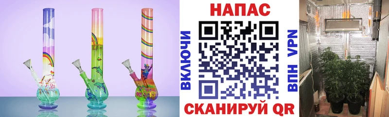 Бошки Шишки сатива  Мышкин 